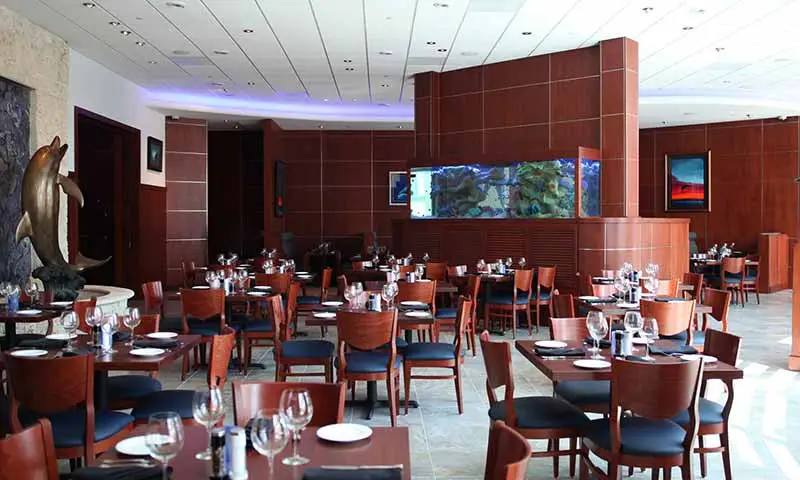 Fine dining restaurant main seating area.